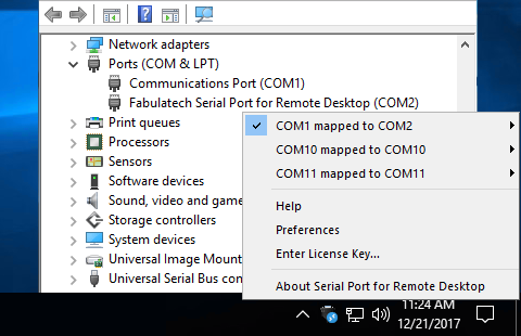 Virtual Ports created by Serial Port for Remote Desktop